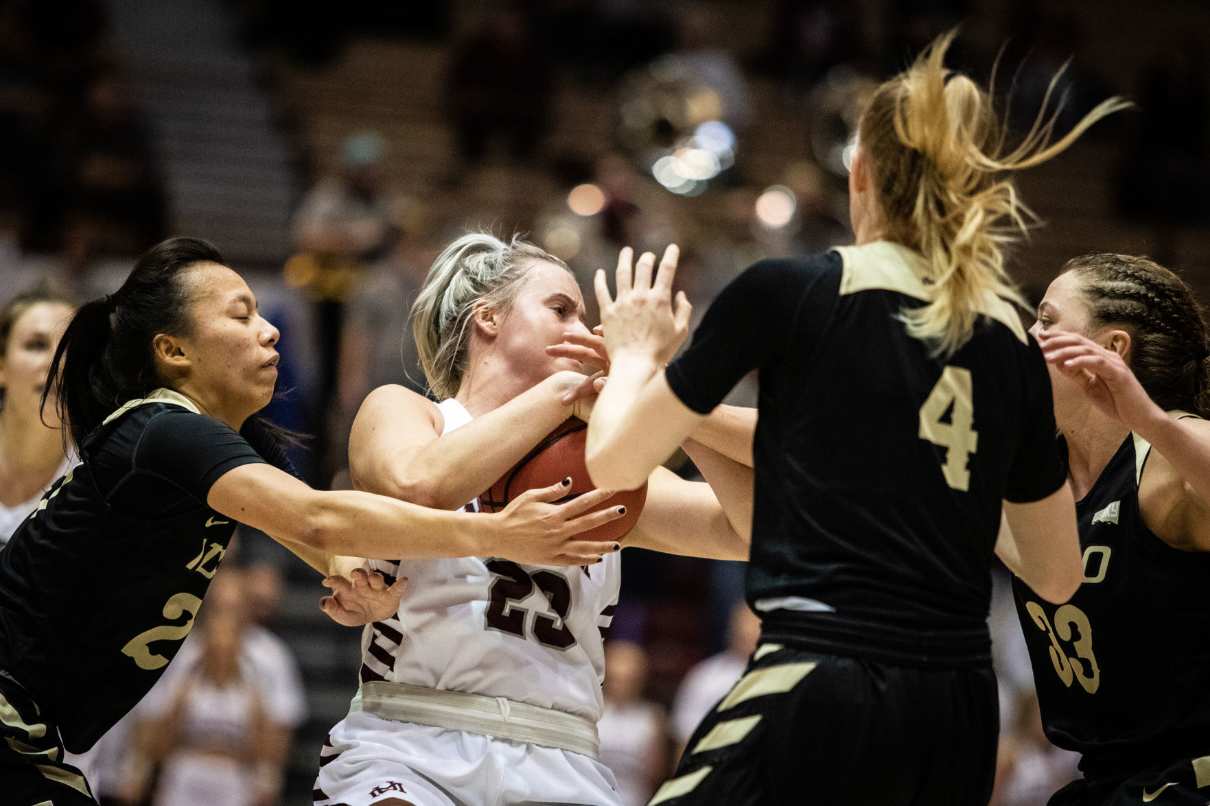 Lady Griz v. Vandals 13